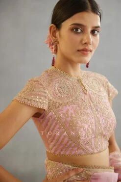 Pink Gul Mohar Yashoda Blouse -Incasee Ceantral 3007blpink3
