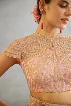 Pink Gul Mohar Yashoda Blouse -Incasee Ceantral 3007blpink4