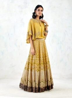 Yellow Cape With Skirt With Bead Work And Gota Patti With Cross Stitch Embroidery -Incasee Ceantral 3 50164