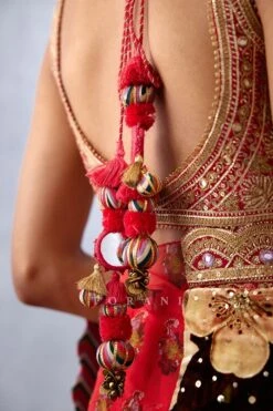 Aftaabi Rabia Choli -Incasee Ceantral 5004bl4