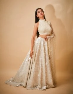 Hand Embroidered Sequin Trail Skirt And Pearl Detail Blouse With Jaal Dupatta -Incasee Ceantral mj913