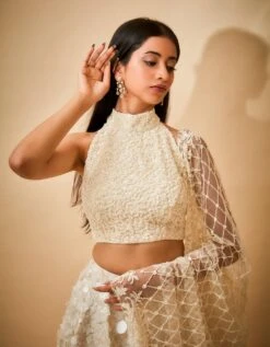 Hand Embroidered Sequin Trail Skirt And Pearl Detail Blouse With Jaal Dupatta -Incasee Ceantral mj914