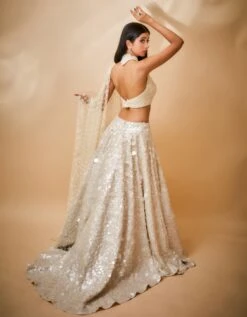 Hand Embroidered Sequin Trail Skirt And Pearl Detail Blouse With Jaal Dupatta -Incasee Ceantral mj91b