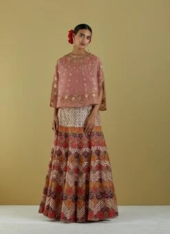 Salmon Pink Organza Hand Embroidered Cape With Skirt