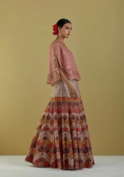 Salmon Pink Organza Hand Embroidered Cape With Skirt -Incasee Ceantral omiwcape104272andskirt1044093
