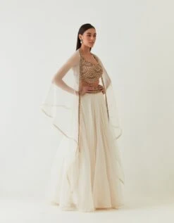 Ivory Scallop Embellished Blouse With Organza Skirt Set -Incasee Ceantral rbv133
